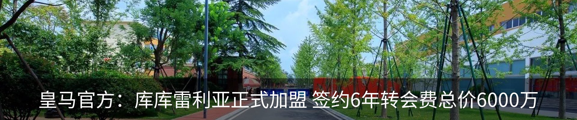 资讯动态